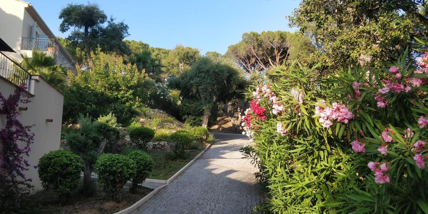La Beluga Hotel Sainte-Maxime Kültér fotó