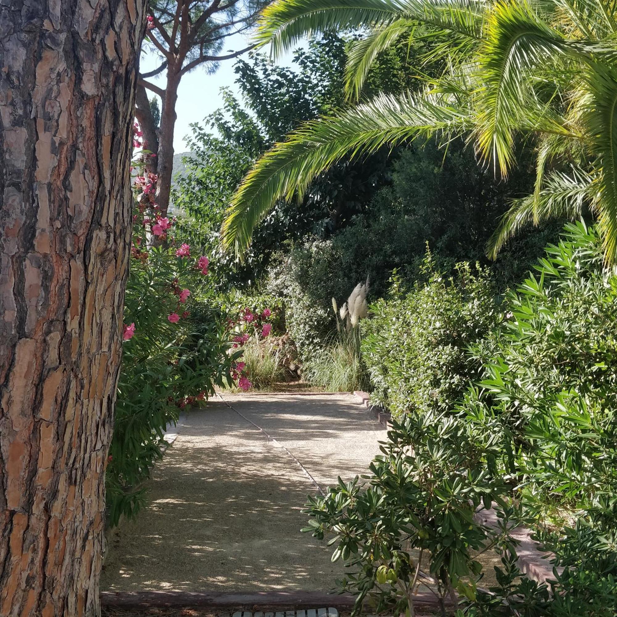 La Beluga Hotel Sainte-Maxime Kültér fotó