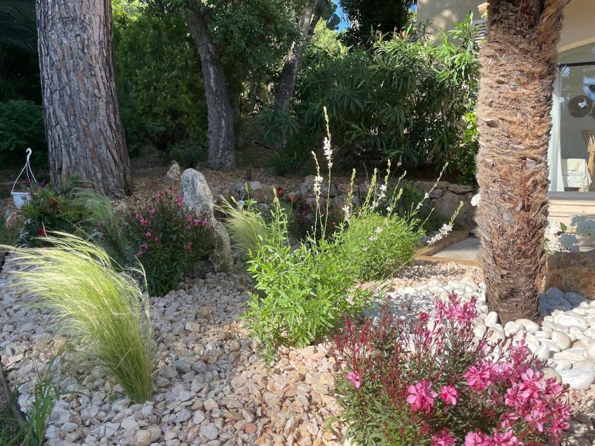 La Beluga Hotel Sainte-Maxime Kültér fotó